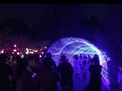 -昆山城市生态森林公园