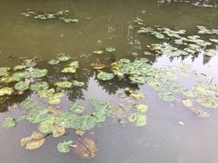 -庐山风景区花径公园