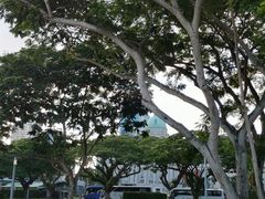 -鱼尾狮公园