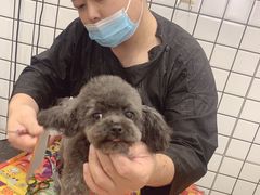 -熊小胖宠物生活馆(天华园店)