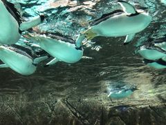 -成都浩海立方海洋公园