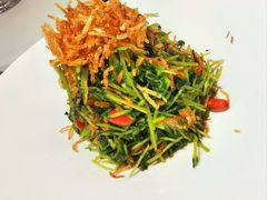 巧拌豆苗-四季民福烤鸭店(故宫店)
