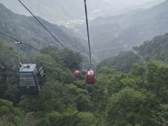 -王顺山国家森林公园
