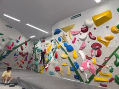 -绿壁虎攀岩基地(Tcar店)