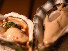 -Hatsune隐泉日式料理(三里屯太古里店)