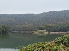 -桃花岭景区
