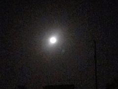 -陈有良尖椒鸡(渝中旗舰店)