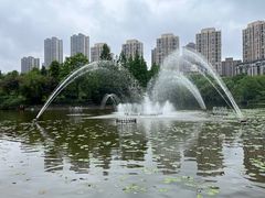 -龙头寺公园