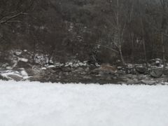 -石砭峪水库