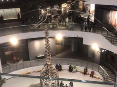 -辽宁古生物博物馆