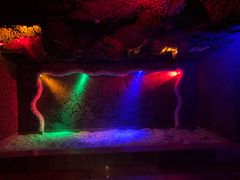 -碧中海汤泉汗蒸酒店