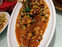 -新侨小馆(东直门北小街店)
