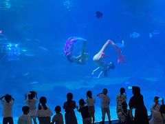 -福州罗源湾海洋世界旅游区