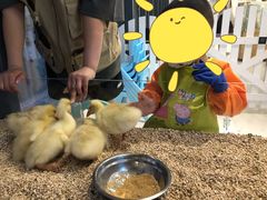 -怪兽屋·羊驼·猫咖·狗咖(俊华广场店)