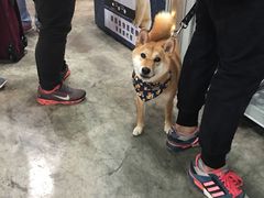 -香港会议展览中心演讲厅