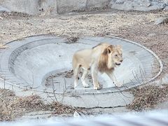 -北京动物园熊猫馆