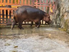 -贵州森林野生动物园
