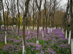 -白塘生态植物园