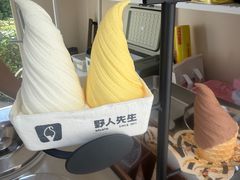 -野人先生现做冰淇淋(北京环宇荟店)