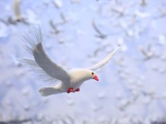 -上海宝龙美术馆