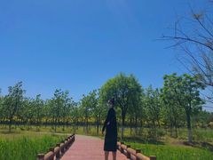 -东郊湿地公园