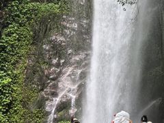 -莫里热带雨林景区