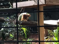 -费瑟代尔野生动物园