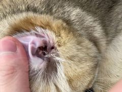 -comecome来吧宠物(奥克斯中心店)