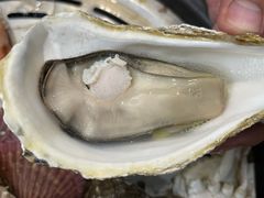 -仙螺岛海鲜自助餐厅(总店)