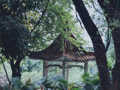 -晓港公园