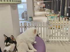 -怪兽屋·羊驼·猫咖·狗咖(俊华广场店)