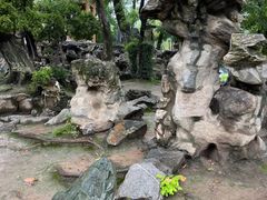 -莲湖公园