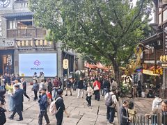 -重庆十八梯传统风貌区