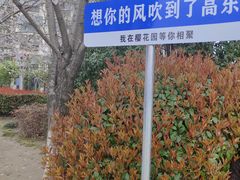 -高东镇樱花园