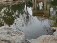 -青岛鑫江温德姆酒店