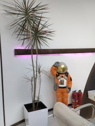 -In Style Hair Salon