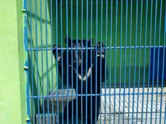 -如皋市龙游湖欢乐世界