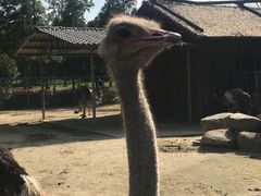 -上方山森林动物世界