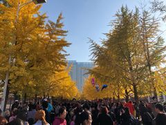 -辽宁大学(崇山校区)