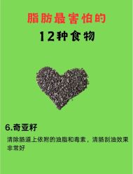-Fundi张玉珊修身堂·indiba·BTL科技瘦身