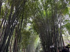 -成都杜甫草堂博物馆