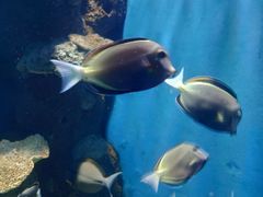 -石林冰雪海洋世界