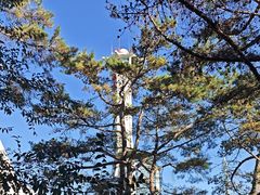 -帽儿山国家森林公园