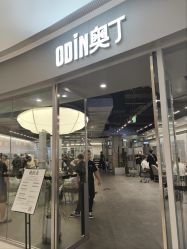 -ODIN 奥丁形象设计 