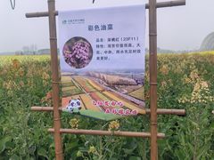 -中国天府农业博览园