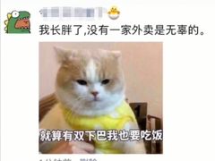 -阿宗面线(西门町店)