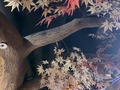-城墙拐拐火锅(三峡广场黑金冠店)