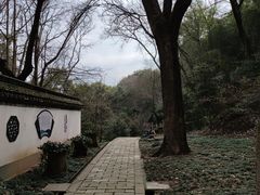 -上海佘山国家森林公园天马山园