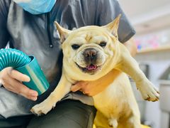 -爱派特动物医院·全科诊疗中心