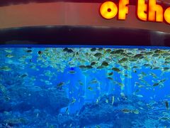 -海合安成都极地海洋公园